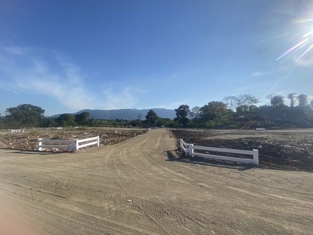 ประกาศฟรี! ซื้อ-ขาย-เช่า คอนโด บ้าน ทาวน์โฮม ที่ดิน และพื้นที่เชิงพาณิชย์ทั่วประเทศไทย ทุกทำเล ทุกงบประมาณ ไม่มีค่าใช้จ่าย ลงง่าย ขายไว เข้าถึงผู้ซื้อโดยตรง 4 294070pic3.jpg