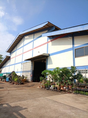 ประกาศฟรี! ซื้อ-ขาย-เช่า คอนโด บ้าน ทาวน์โฮม ที่ดิน และพื้นที่เชิงพาณิชย์ทั่วประเทศไทย ทุกทำเล ทุกงบประมาณ ไม่มีค่าใช้จ่าย ลงง่าย ขายไว เข้าถึงผู้ซื้อโดยตรง 2 318236pic1.jpg