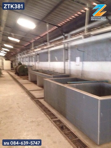 ประกาศฟรี! ซื้อ-ขาย-เช่า คอนโด บ้าน ทาวน์โฮม ที่ดิน และพื้นที่เชิงพาณิชย์ทั่วประเทศไทย ทุกทำเล ทุกงบประมาณ ไม่มีค่าใช้จ่าย ลงง่าย ขายไว เข้าถึงผู้ซื้อโดยตรง 3 519831pic2.jpg