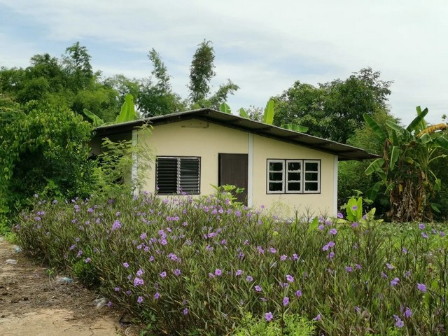 ประกาศฟรี! ซื้อ-ขาย-เช่า คอนโด บ้าน ทาวน์โฮม ที่ดิน และพื้นที่เชิงพาณิชย์ทั่วประเทศไทย ทุกทำเล ทุกงบประมาณ ไม่มีค่าใช้จ่าย ลงง่าย ขายไว เข้าถึงผู้ซื้อโดยตรง 3 260699pic2.jpg