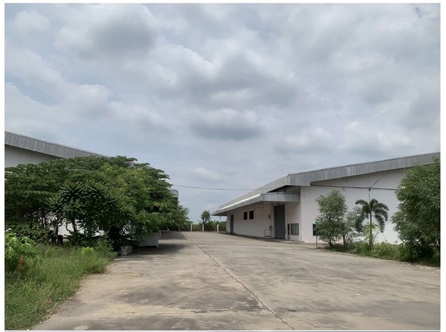 ประกาศฟรี! ซื้อ-ขาย-เช่า คอนโด บ้าน ทาวน์โฮม ที่ดิน และพื้นที่เชิงพาณิชย์ทั่วประเทศไทย ทุกทำเล ทุกงบประมาณ ไม่มีค่าใช้จ่าย ลงง่าย ขายไว เข้าถึงผู้ซื้อโดยตรง 3 520418pic2.jpg