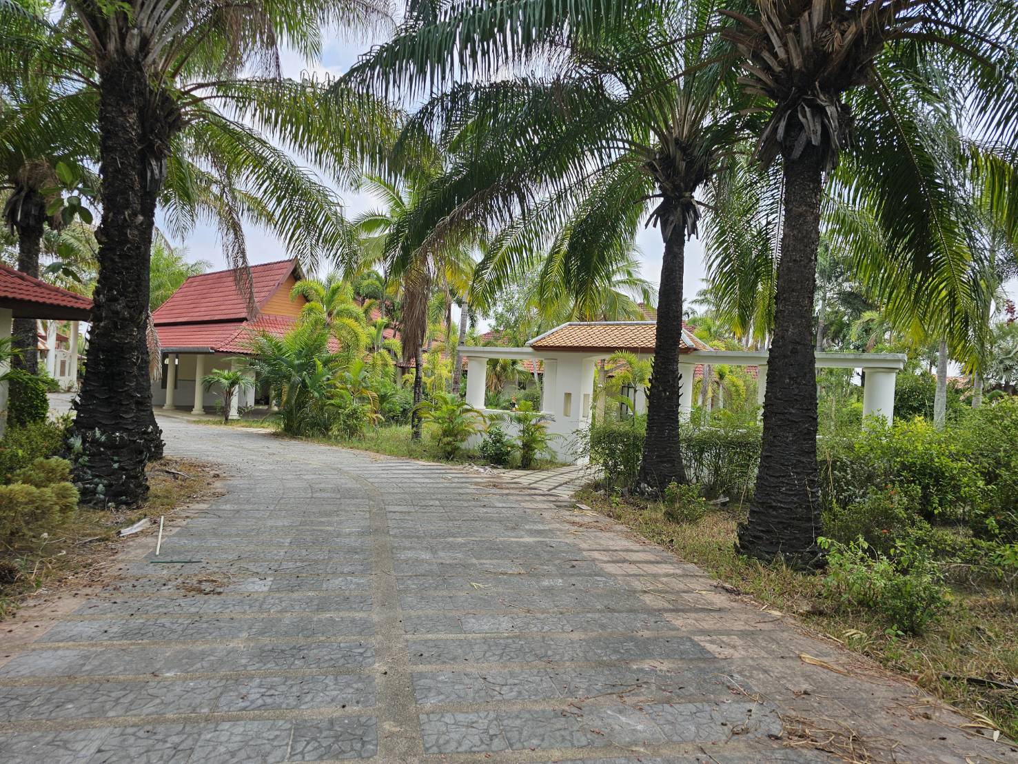 ประกาศฟรี! ซื้อ-ขาย-เช่า คอนโด บ้าน ทาวน์โฮม ที่ดิน และพื้นที่เชิงพาณิชย์ทั่วประเทศไทย ทุกทำเล ทุกงบประมาณ ไม่มีค่าใช้จ่าย ลงง่าย ขายไว เข้าถึงผู้ซื้อโดยตรง 5 318257pic4.jpg