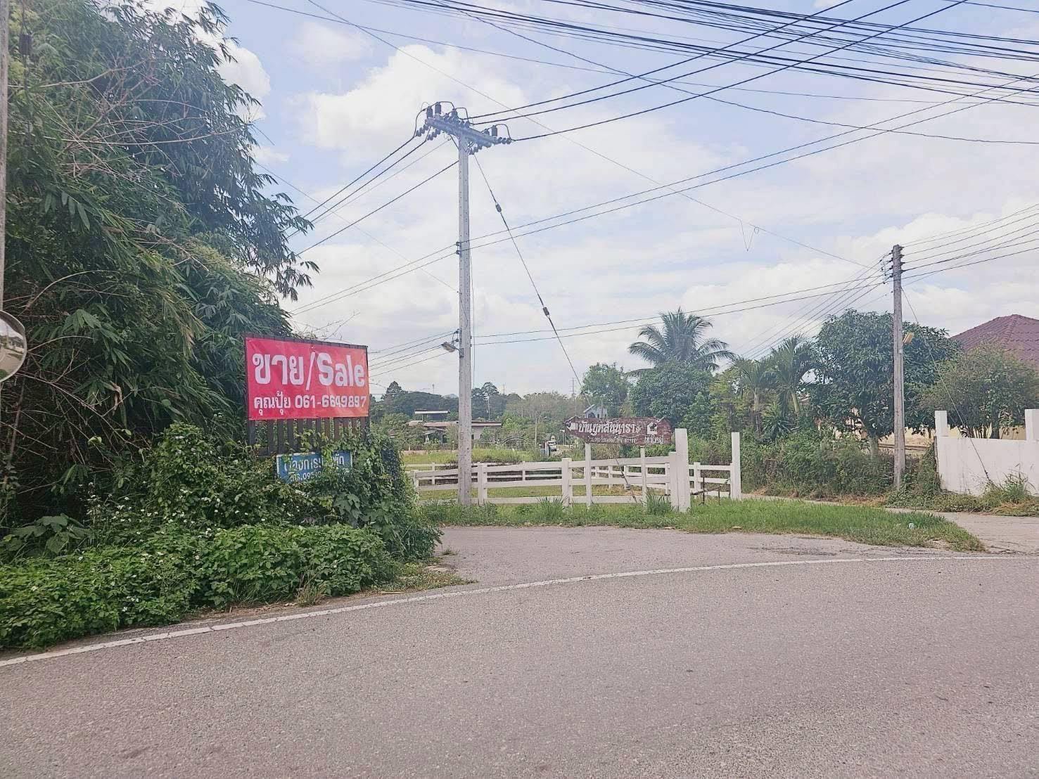 ประกาศฟรี! ซื้อ-ขาย-เช่า คอนโด บ้าน ทาวน์โฮม ที่ดิน และพื้นที่เชิงพาณิชย์ทั่วประเทศไทย ทุกทำเล ทุกงบประมาณ ไม่มีค่าใช้จ่าย ลงง่าย ขายไว เข้าถึงผู้ซื้อโดยตรง 3 318253pic2.jpg