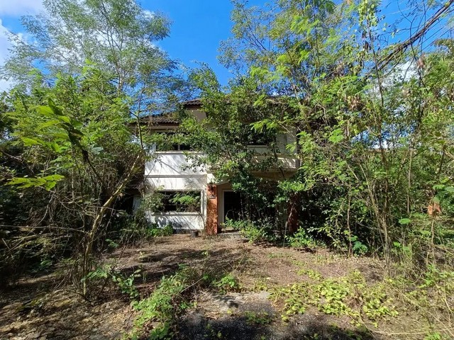 ประกาศฟรี! ซื้อ-ขาย-เช่า คอนโด บ้าน ทาวน์โฮม ที่ดิน และพื้นที่เชิงพาณิชย์ทั่วประเทศไทย ทุกทำเล ทุกงบประมาณ ไม่มีค่าใช้จ่าย ลงง่าย ขายไว เข้าถึงผู้ซื้อโดยตรง 2 259711pic1.jpg