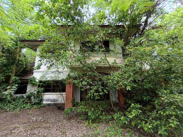 ประกาศฟรี! ซื้อ-ขาย-เช่า คอนโด บ้าน ทาวน์โฮม ที่ดิน และพื้นที่เชิงพาณิชย์ทั่วประเทศไทย ทุกทำเล ทุกงบประมาณ ไม่มีค่าใช้จ่าย ลงง่าย ขายไว เข้าถึงผู้ซื้อโดยตรง 3 259711pic2.jpg