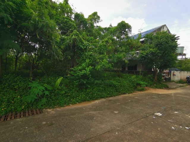 ประกาศฟรี! ซื้อ-ขาย-เช่า คอนโด บ้าน ทาวน์โฮม ที่ดิน และพื้นที่เชิงพาณิชย์ทั่วประเทศไทย ทุกทำเล ทุกงบประมาณ ไม่มีค่าใช้จ่าย ลงง่าย ขายไว เข้าถึงผู้ซื้อโดยตรง 3 259674pic2.jpg