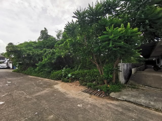 ประกาศฟรี! ซื้อ-ขาย-เช่า คอนโด บ้าน ทาวน์โฮม ที่ดิน และพื้นที่เชิงพาณิชย์ทั่วประเทศไทย ทุกทำเล ทุกงบประมาณ ไม่มีค่าใช้จ่าย ลงง่าย ขายไว เข้าถึงผู้ซื้อโดยตรง 4 259674pic3.jpg