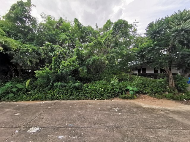 ประกาศฟรี! ซื้อ-ขาย-เช่า คอนโด บ้าน ทาวน์โฮม ที่ดิน และพื้นที่เชิงพาณิชย์ทั่วประเทศไทย ทุกทำเล ทุกงบประมาณ ไม่มีค่าใช้จ่าย ลงง่าย ขายไว เข้าถึงผู้ซื้อโดยตรง 5 259674pic4.jpg