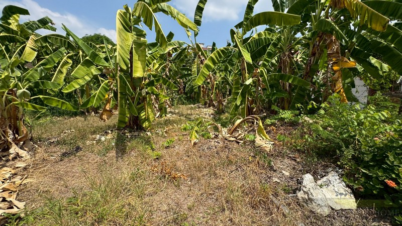 ประกาศฟรี! ซื้อ-ขาย-เช่า คอนโด บ้าน ทาวน์โฮม ที่ดิน และพื้นที่เชิงพาณิชย์ทั่วประเทศไทย ทุกทำเล ทุกงบประมาณ ไม่มีค่าใช้จ่าย ลงง่าย ขายไว เข้าถึงผู้ซื้อโดยตรง 2 294520pic1.jpg