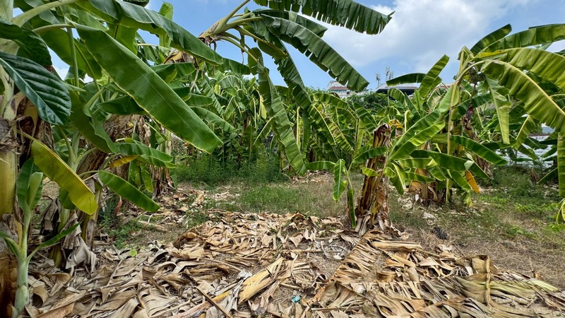 ประกาศฟรี! ซื้อ-ขาย-เช่า คอนโด บ้าน ทาวน์โฮม ที่ดิน และพื้นที่เชิงพาณิชย์ทั่วประเทศไทย ทุกทำเล ทุกงบประมาณ ไม่มีค่าใช้จ่าย ลงง่าย ขายไว เข้าถึงผู้ซื้อโดยตรง 4 294520pic3.jpg