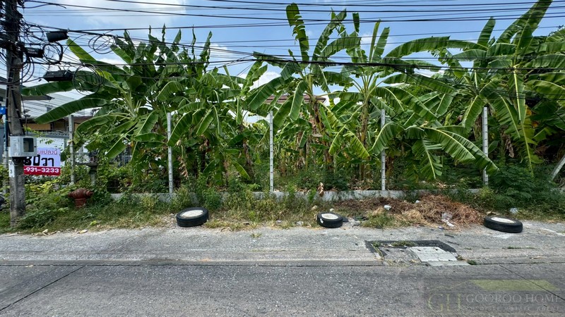 ประกาศฟรี! ซื้อ-ขาย-เช่า คอนโด บ้าน ทาวน์โฮม ที่ดิน และพื้นที่เชิงพาณิชย์ทั่วประเทศไทย ทุกทำเล ทุกงบประมาณ ไม่มีค่าใช้จ่าย ลงง่าย ขายไว เข้าถึงผู้ซื้อโดยตรง 5 294520pic4.jpg