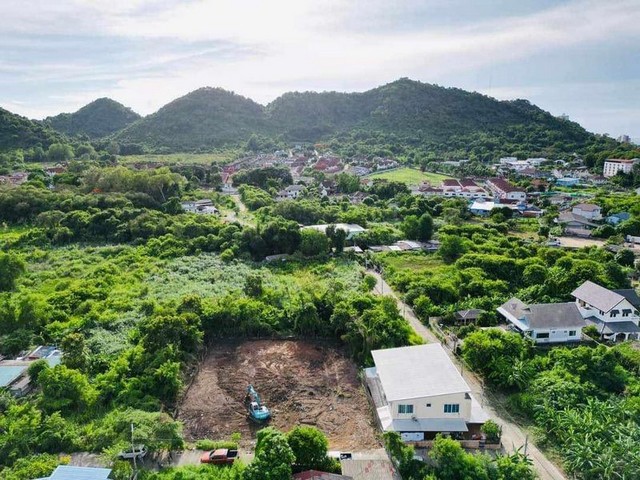 ประกาศฟรี! ซื้อ-ขาย-เช่า คอนโด บ้าน ทาวน์โฮม ที่ดิน และพื้นที่เชิงพาณิชย์ทั่วประเทศไทย ทุกทำเล ทุกงบประมาณ ไม่มีค่าใช้จ่าย ลงง่าย ขายไว เข้าถึงผู้ซื้อโดยตรง 2 301753pic1.jpg