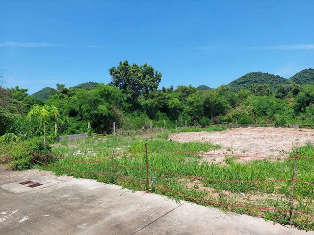 ประกาศฟรี! ซื้อ-ขาย-เช่า คอนโด บ้าน ทาวน์โฮม ที่ดิน และพื้นที่เชิงพาณิชย์ทั่วประเทศไทย ทุกทำเล ทุกงบประมาณ ไม่มีค่าใช้จ่าย ลงง่าย ขายไว เข้าถึงผู้ซื้อโดยตรง 3 301753pic2.jpg