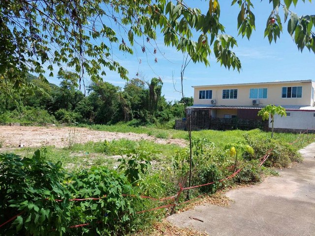 ประกาศฟรี! ซื้อ-ขาย-เช่า คอนโด บ้าน ทาวน์โฮม ที่ดิน และพื้นที่เชิงพาณิชย์ทั่วประเทศไทย ทุกทำเล ทุกงบประมาณ ไม่มีค่าใช้จ่าย ลงง่าย ขายไว เข้าถึงผู้ซื้อโดยตรง 4 301753pic3.jpg