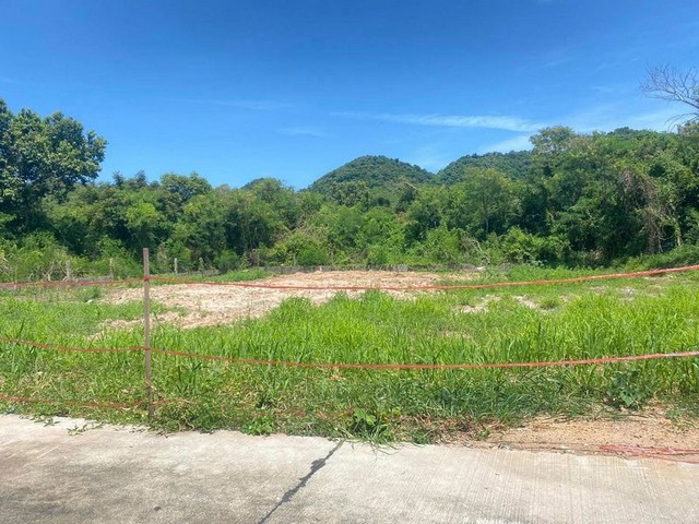 ประกาศฟรี! ซื้อ-ขาย-เช่า คอนโด บ้าน ทาวน์โฮม ที่ดิน และพื้นที่เชิงพาณิชย์ทั่วประเทศไทย ทุกทำเล ทุกงบประมาณ ไม่มีค่าใช้จ่าย ลงง่าย ขายไว เข้าถึงผู้ซื้อโดยตรง 5 301753pic4.jpg