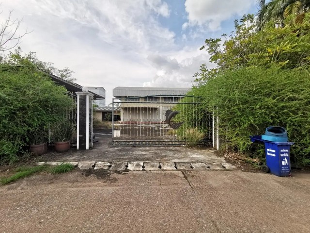 ประกาศฟรี! ซื้อ-ขาย-เช่า คอนโด บ้าน ทาวน์โฮม ที่ดิน และพื้นที่เชิงพาณิชย์ทั่วประเทศไทย ทุกทำเล ทุกงบประมาณ ไม่มีค่าใช้จ่าย ลงง่าย ขายไว เข้าถึงผู้ซื้อโดยตรง 2 260790pic1.jpg