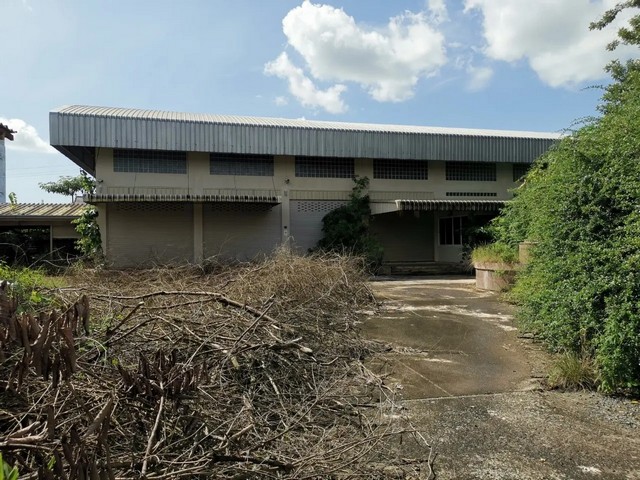 ประกาศฟรี! ซื้อ-ขาย-เช่า คอนโด บ้าน ทาวน์โฮม ที่ดิน และพื้นที่เชิงพาณิชย์ทั่วประเทศไทย ทุกทำเล ทุกงบประมาณ ไม่มีค่าใช้จ่าย ลงง่าย ขายไว เข้าถึงผู้ซื้อโดยตรง 5 260790pic4.jpg