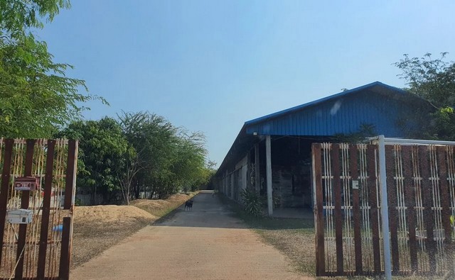 ประกาศฟรี! ซื้อ-ขาย-เช่า คอนโด บ้าน ทาวน์โฮม ที่ดิน และพื้นที่เชิงพาณิชย์ทั่วประเทศไทย ทุกทำเล ทุกงบประมาณ ไม่มีค่าใช้จ่าย ลงง่าย ขายไว เข้าถึงผู้ซื้อโดยตรง 2 260868pic1.jpg