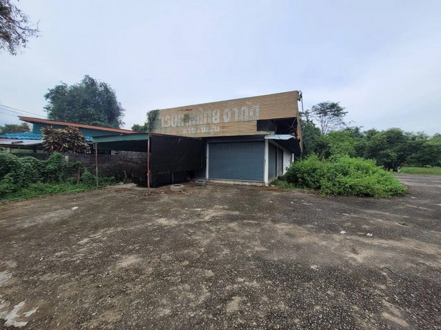 ประกาศฟรี! ซื้อ-ขาย-เช่า คอนโด บ้าน ทาวน์โฮม ที่ดิน และพื้นที่เชิงพาณิชย์ทั่วประเทศไทย ทุกทำเล ทุกงบประมาณ ไม่มีค่าใช้จ่าย ลงง่าย ขายไว เข้าถึงผู้ซื้อโดยตรง 2 260775pic1.jpg