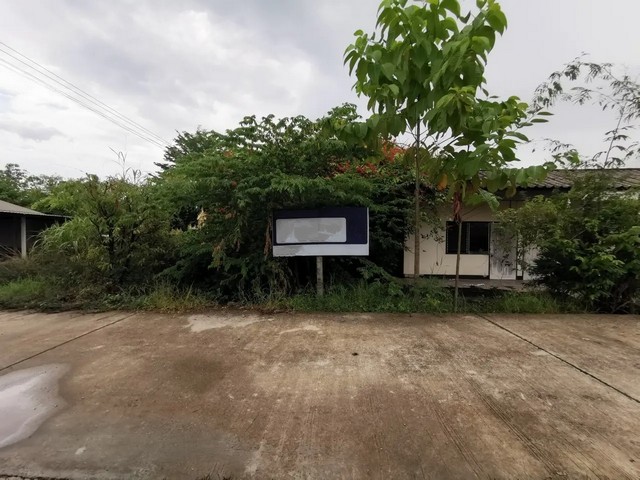 ประกาศฟรี! ซื้อ-ขาย-เช่า คอนโด บ้าน ทาวน์โฮม ที่ดิน และพื้นที่เชิงพาณิชย์ทั่วประเทศไทย ทุกทำเล ทุกงบประมาณ ไม่มีค่าใช้จ่าย ลงง่าย ขายไว เข้าถึงผู้ซื้อโดยตรง 2 260773pic1.jpg