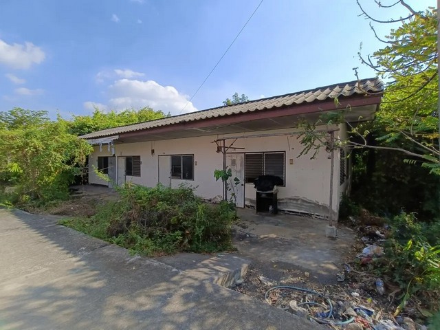 ประกาศฟรี! ซื้อ-ขาย-เช่า คอนโด บ้าน ทาวน์โฮม ที่ดิน และพื้นที่เชิงพาณิชย์ทั่วประเทศไทย ทุกทำเล ทุกงบประมาณ ไม่มีค่าใช้จ่าย ลงง่าย ขายไว เข้าถึงผู้ซื้อโดยตรง 3 260773pic2.jpg