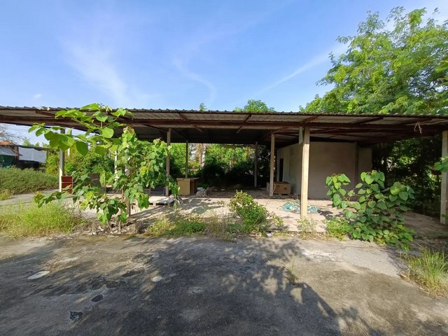 ประกาศฟรี! ซื้อ-ขาย-เช่า คอนโด บ้าน ทาวน์โฮม ที่ดิน และพื้นที่เชิงพาณิชย์ทั่วประเทศไทย ทุกทำเล ทุกงบประมาณ ไม่มีค่าใช้จ่าย ลงง่าย ขายไว เข้าถึงผู้ซื้อโดยตรง 4 260773pic3.jpg