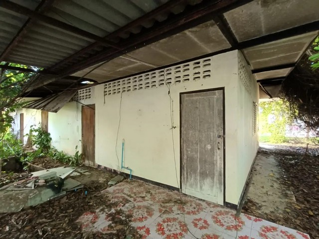 ประกาศฟรี! ซื้อ-ขาย-เช่า คอนโด บ้าน ทาวน์โฮม ที่ดิน และพื้นที่เชิงพาณิชย์ทั่วประเทศไทย ทุกทำเล ทุกงบประมาณ ไม่มีค่าใช้จ่าย ลงง่าย ขายไว เข้าถึงผู้ซื้อโดยตรง 5 260773pic4.jpg