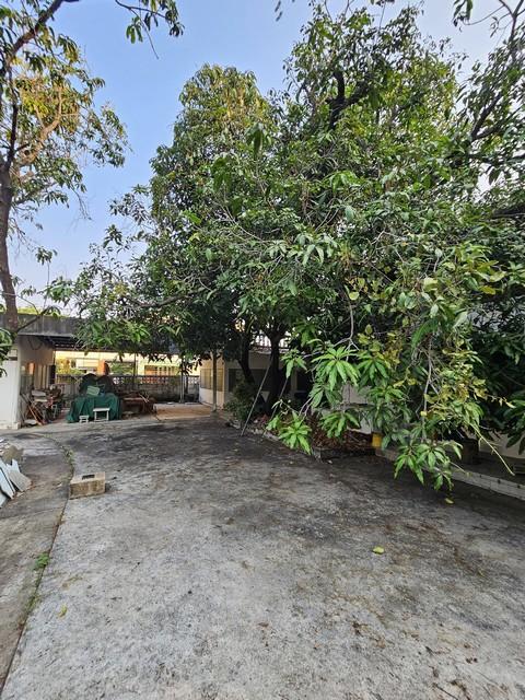 ประกาศฟรี! ซื้อ-ขาย-เช่า คอนโด บ้าน ทาวน์โฮม ที่ดิน และพื้นที่เชิงพาณิชย์ทั่วประเทศไทย ทุกทำเล ทุกงบประมาณ ไม่มีค่าใช้จ่าย ลงง่าย ขายไว เข้าถึงผู้ซื้อโดยตรง 3 520552pic2.jpg