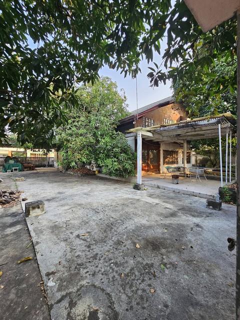 ประกาศฟรี! ซื้อ-ขาย-เช่า คอนโด บ้าน ทาวน์โฮม ที่ดิน และพื้นที่เชิงพาณิชย์ทั่วประเทศไทย ทุกทำเล ทุกงบประมาณ ไม่มีค่าใช้จ่าย ลงง่าย ขายไว เข้าถึงผู้ซื้อโดยตรง 4 520552pic3.jpg