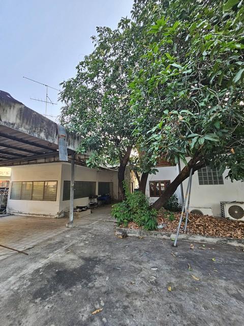 ประกาศฟรี! ซื้อ-ขาย-เช่า คอนโด บ้าน ทาวน์โฮม ที่ดิน และพื้นที่เชิงพาณิชย์ทั่วประเทศไทย ทุกทำเล ทุกงบประมาณ ไม่มีค่าใช้จ่าย ลงง่าย ขายไว เข้าถึงผู้ซื้อโดยตรง 5 520552pic4.jpg