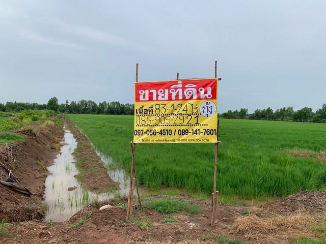 ประกาศฟรี! ซื้อ-ขาย-เช่า คอนโด บ้าน ทาวน์โฮม ที่ดิน และพื้นที่เชิงพาณิชย์ทั่วประเทศไทย ทุกทำเล ทุกงบประมาณ ไม่มีค่าใช้จ่าย ลงง่าย ขายไว เข้าถึงผู้ซื้อโดยตรง 2 520289pic1.jpg