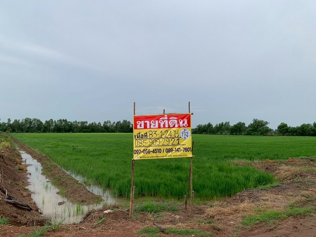 ประกาศฟรี! ซื้อ-ขาย-เช่า คอนโด บ้าน ทาวน์โฮม ที่ดิน และพื้นที่เชิงพาณิชย์ทั่วประเทศไทย ทุกทำเล ทุกงบประมาณ ไม่มีค่าใช้จ่าย ลงง่าย ขายไว เข้าถึงผู้ซื้อโดยตรง 3 520289pic2.jpg