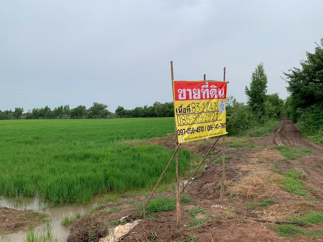 ประกาศฟรี! ซื้อ-ขาย-เช่า คอนโด บ้าน ทาวน์โฮม ที่ดิน และพื้นที่เชิงพาณิชย์ทั่วประเทศไทย ทุกทำเล ทุกงบประมาณ ไม่มีค่าใช้จ่าย ลงง่าย ขายไว เข้าถึงผู้ซื้อโดยตรง 4 520289pic3.jpg