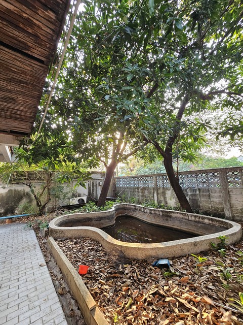 ประกาศฟรี! ซื้อ-ขาย-เช่า คอนโด บ้าน ทาวน์โฮม ที่ดิน และพื้นที่เชิงพาณิชย์ทั่วประเทศไทย ทุกทำเล ทุกงบประมาณ ไม่มีค่าใช้จ่าย ลงง่าย ขายไว เข้าถึงผู้ซื้อโดยตรง 4 517885pic3.jpg