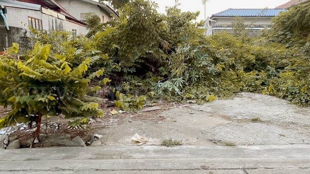 ประกาศฟรี! ซื้อ-ขาย-เช่า คอนโด บ้าน ทาวน์โฮม ที่ดิน และพื้นที่เชิงพาณิชย์ทั่วประเทศไทย ทุกทำเล ทุกงบประมาณ ไม่มีค่าใช้จ่าย ลงง่าย ขายไว เข้าถึงผู้ซื้อโดยตรง 4 260929pic3.jpg