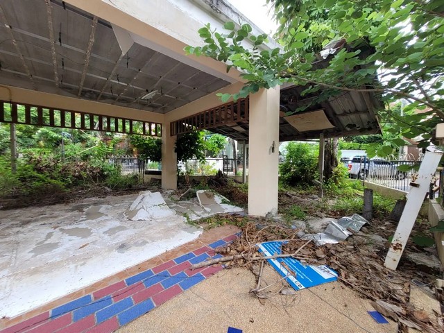 ประกาศฟรี! ซื้อ-ขาย-เช่า คอนโด บ้าน ทาวน์โฮม ที่ดิน และพื้นที่เชิงพาณิชย์ทั่วประเทศไทย ทุกทำเล ทุกงบประมาณ ไม่มีค่าใช้จ่าย ลงง่าย ขายไว เข้าถึงผู้ซื้อโดยตรง 3 260850pic2.jpg