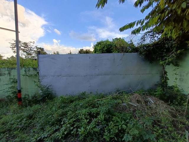 ประกาศฟรี! ซื้อ-ขาย-เช่า คอนโด บ้าน ทาวน์โฮม ที่ดิน และพื้นที่เชิงพาณิชย์ทั่วประเทศไทย ทุกทำเล ทุกงบประมาณ ไม่มีค่าใช้จ่าย ลงง่าย ขายไว เข้าถึงผู้ซื้อโดยตรง 2 259635pic1.jpg