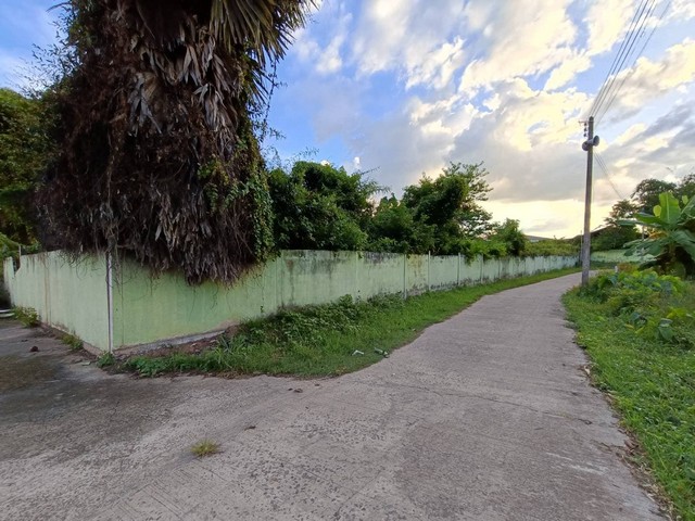 ประกาศฟรี! ซื้อ-ขาย-เช่า คอนโด บ้าน ทาวน์โฮม ที่ดิน และพื้นที่เชิงพาณิชย์ทั่วประเทศไทย ทุกทำเล ทุกงบประมาณ ไม่มีค่าใช้จ่าย ลงง่าย ขายไว เข้าถึงผู้ซื้อโดยตรง 5 259635pic4.jpg