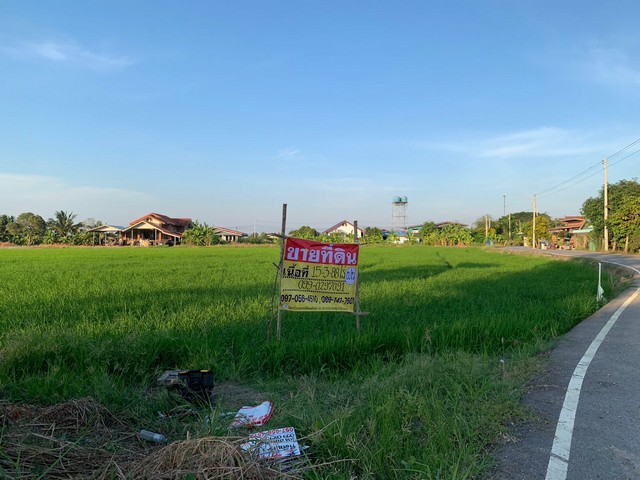 ประกาศฟรี! ซื้อ-ขาย-เช่า คอนโด บ้าน ทาวน์โฮม ที่ดิน และพื้นที่เชิงพาณิชย์ทั่วประเทศไทย ทุกทำเล ทุกงบประมาณ ไม่มีค่าใช้จ่าย ลงง่าย ขายไว เข้าถึงผู้ซื้อโดยตรง 2 520536pic1.jpg