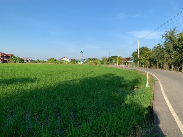 ประกาศฟรี! ซื้อ-ขาย-เช่า คอนโด บ้าน ทาวน์โฮม ที่ดิน และพื้นที่เชิงพาณิชย์ทั่วประเทศไทย ทุกทำเล ทุกงบประมาณ ไม่มีค่าใช้จ่าย ลงง่าย ขายไว เข้าถึงผู้ซื้อโดยตรง 3 520536pic2.jpg