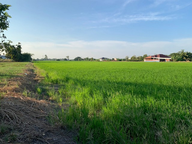 ประกาศฟรี! ซื้อ-ขาย-เช่า คอนโด บ้าน ทาวน์โฮม ที่ดิน และพื้นที่เชิงพาณิชย์ทั่วประเทศไทย ทุกทำเล ทุกงบประมาณ ไม่มีค่าใช้จ่าย ลงง่าย ขายไว เข้าถึงผู้ซื้อโดยตรง 4 520536pic3.jpg