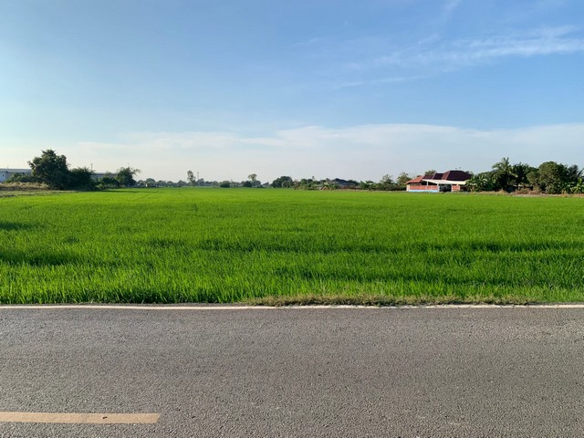 ประกาศฟรี! ซื้อ-ขาย-เช่า คอนโด บ้าน ทาวน์โฮม ที่ดิน และพื้นที่เชิงพาณิชย์ทั่วประเทศไทย ทุกทำเล ทุกงบประมาณ ไม่มีค่าใช้จ่าย ลงง่าย ขายไว เข้าถึงผู้ซื้อโดยตรง 5 520536pic4.jpg