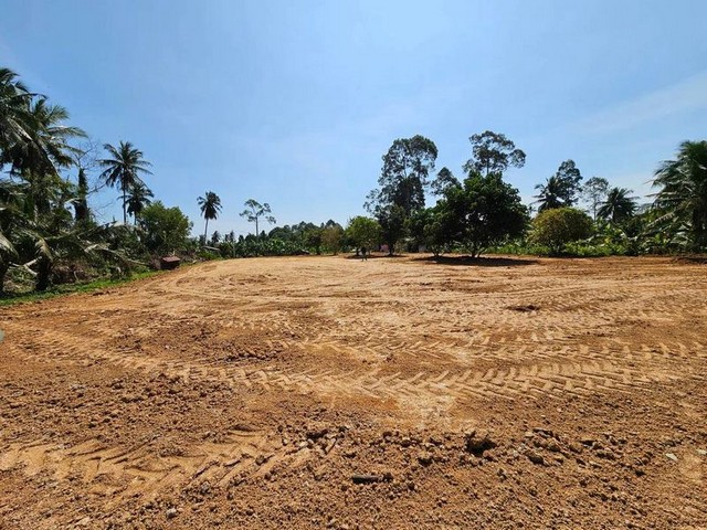 ประกาศฟรี! ซื้อ-ขาย-เช่า คอนโด บ้าน ทาวน์โฮม ที่ดิน และพื้นที่เชิงพาณิชย์ทั่วประเทศไทย ทุกทำเล ทุกงบประมาณ ไม่มีค่าใช้จ่าย ลงง่าย ขายไว เข้าถึงผู้ซื้อโดยตรง 2 301843pic1.jpg