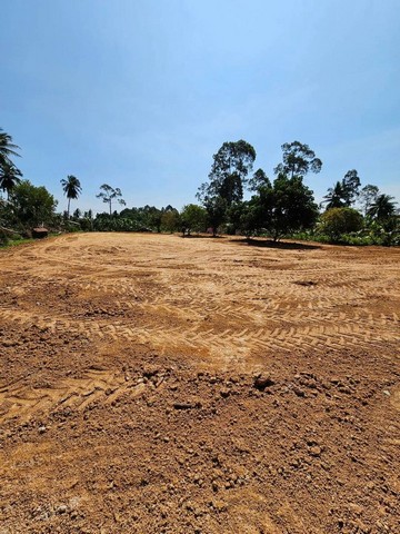 ประกาศฟรี! ซื้อ-ขาย-เช่า คอนโด บ้าน ทาวน์โฮม ที่ดิน และพื้นที่เชิงพาณิชย์ทั่วประเทศไทย ทุกทำเล ทุกงบประมาณ ไม่มีค่าใช้จ่าย ลงง่าย ขายไว เข้าถึงผู้ซื้อโดยตรง 3 301843pic2.jpg