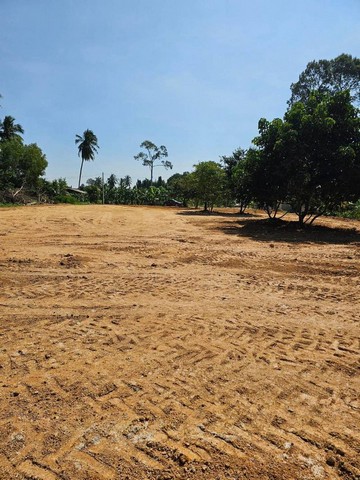 ประกาศฟรี! ซื้อ-ขาย-เช่า คอนโด บ้าน ทาวน์โฮม ที่ดิน และพื้นที่เชิงพาณิชย์ทั่วประเทศไทย ทุกทำเล ทุกงบประมาณ ไม่มีค่าใช้จ่าย ลงง่าย ขายไว เข้าถึงผู้ซื้อโดยตรง 5 301843pic4.jpg