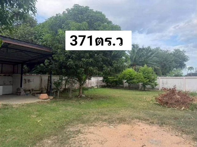 ประกาศฟรี! ซื้อ-ขาย-เช่า คอนโด บ้าน ทาวน์โฮม ที่ดิน และพื้นที่เชิงพาณิชย์ทั่วประเทศไทย ทุกทำเล ทุกงบประมาณ ไม่มีค่าใช้จ่าย ลงง่าย ขายไว เข้าถึงผู้ซื้อโดยตรง 2 301842pic1.jpg