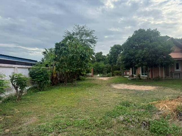 ประกาศฟรี! ซื้อ-ขาย-เช่า คอนโด บ้าน ทาวน์โฮม ที่ดิน และพื้นที่เชิงพาณิชย์ทั่วประเทศไทย ทุกทำเล ทุกงบประมาณ ไม่มีค่าใช้จ่าย ลงง่าย ขายไว เข้าถึงผู้ซื้อโดยตรง 3 301842pic2.jpg