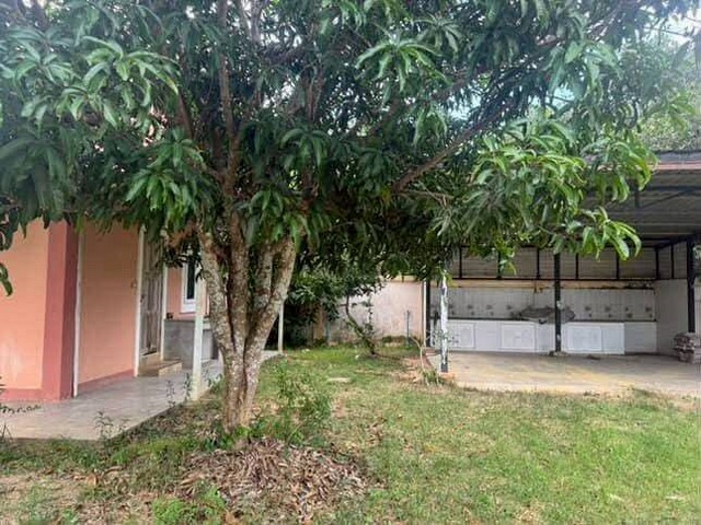 ประกาศฟรี! ซื้อ-ขาย-เช่า คอนโด บ้าน ทาวน์โฮม ที่ดิน และพื้นที่เชิงพาณิชย์ทั่วประเทศไทย ทุกทำเล ทุกงบประมาณ ไม่มีค่าใช้จ่าย ลงง่าย ขายไว เข้าถึงผู้ซื้อโดยตรง 4 301842pic3.jpg