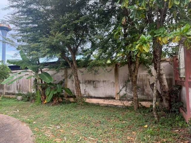 ประกาศฟรี! ซื้อ-ขาย-เช่า คอนโด บ้าน ทาวน์โฮม ที่ดิน และพื้นที่เชิงพาณิชย์ทั่วประเทศไทย ทุกทำเล ทุกงบประมาณ ไม่มีค่าใช้จ่าย ลงง่าย ขายไว เข้าถึงผู้ซื้อโดยตรง 5 301842pic4.jpg