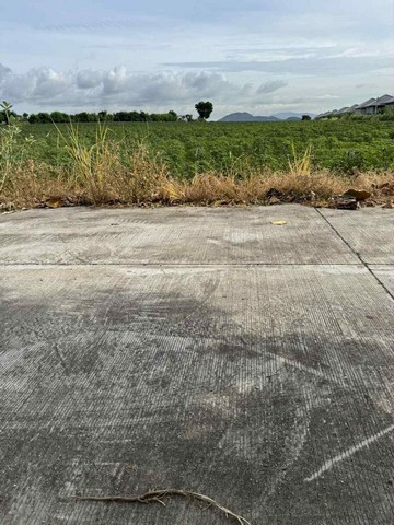 ประกาศฟรี! ซื้อ-ขาย-เช่า คอนโด บ้าน ทาวน์โฮม ที่ดิน และพื้นที่เชิงพาณิชย์ทั่วประเทศไทย ทุกทำเล ทุกงบประมาณ ไม่มีค่าใช้จ่าย ลงง่าย ขายไว เข้าถึงผู้ซื้อโดยตรง 2 301840pic1.jpg